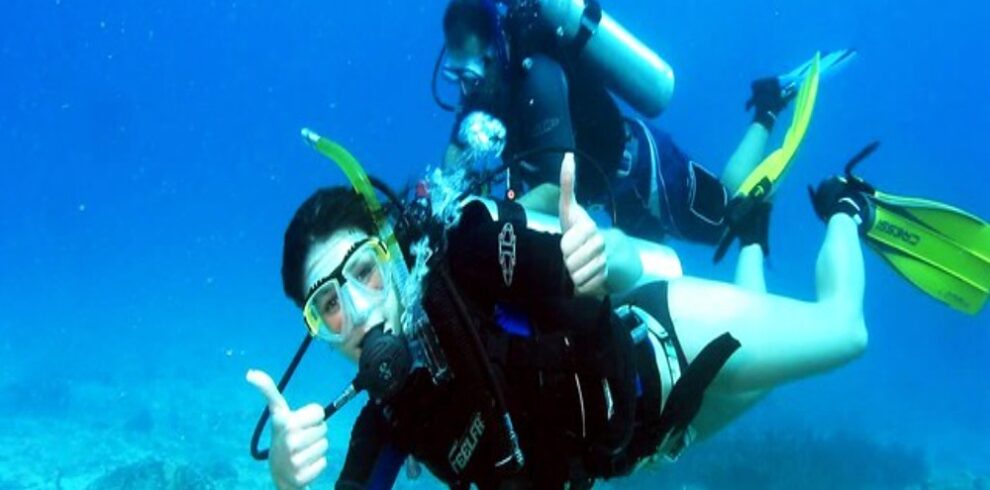 29249761660 28b4503661 z (1)