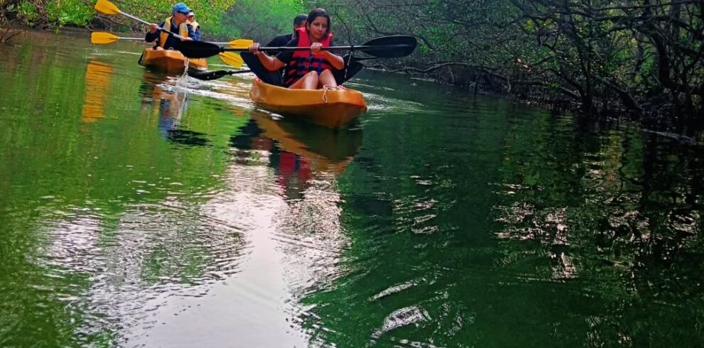 476592991 17898169689131914 7030265469954987227 n