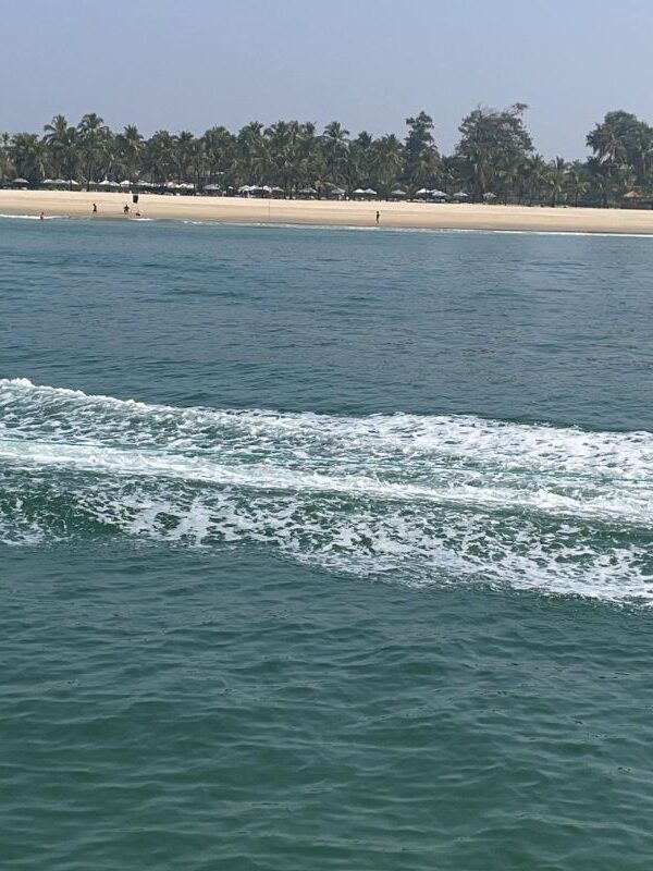 untitled design 2025 01 22t151942.951