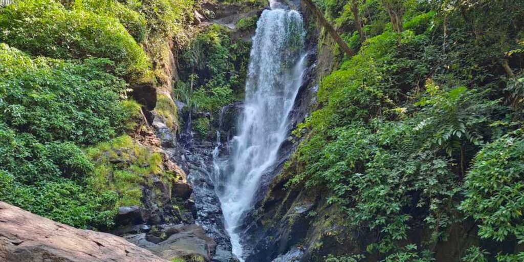 untitled design 2025 06 04t154656.457