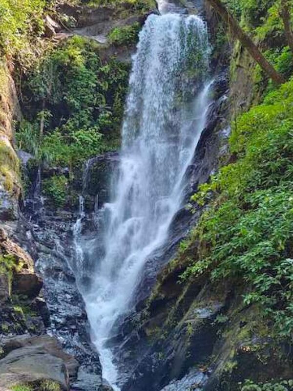 untitled design 2025 06 04t154656.457