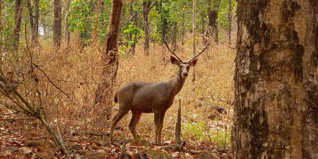 untitled design 2025 06 04t155205.479