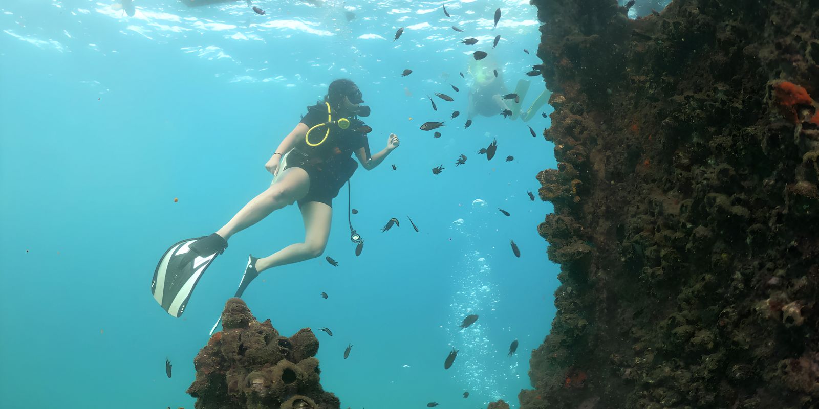 untitled design (83)