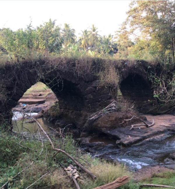 whatsapp image 2025 01 16 at 00.18.57 50065c5d (1)