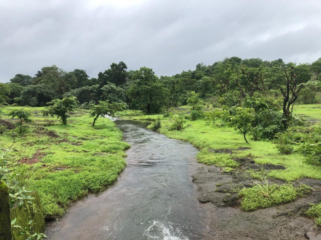 whatsapp image 2025 07 05 at 13.43.09 be9b9f8d