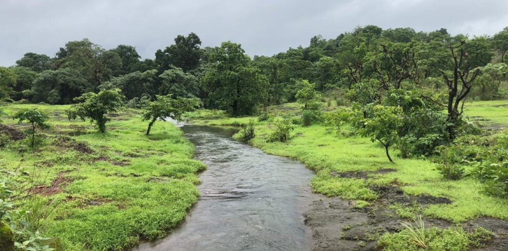 whatsapp image 2025 07 05 at 13.43.09 be9b9f8d