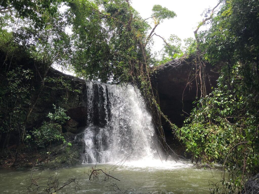 whatsapp image 2025 07 05 at 13.43.10 b599107f