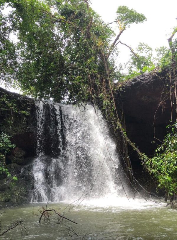 whatsapp image 2025 07 05 at 13.43.10 b599107f