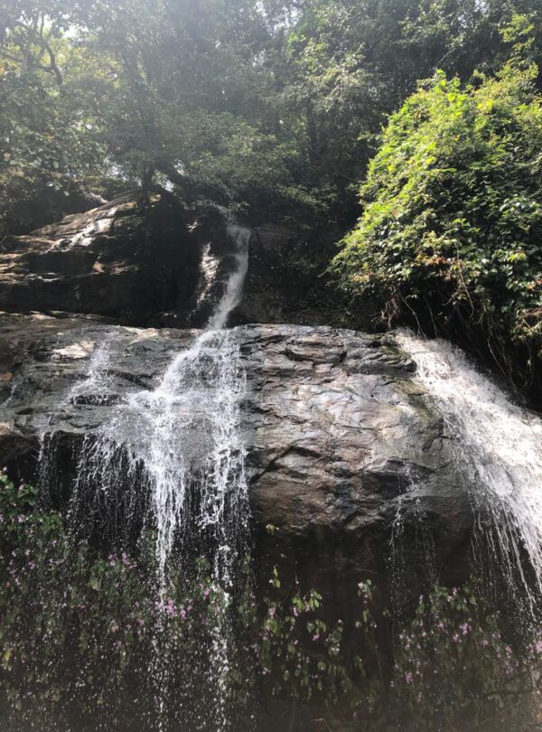 whatsapp image 2025 07 09 at 13.32.11 f40c665c