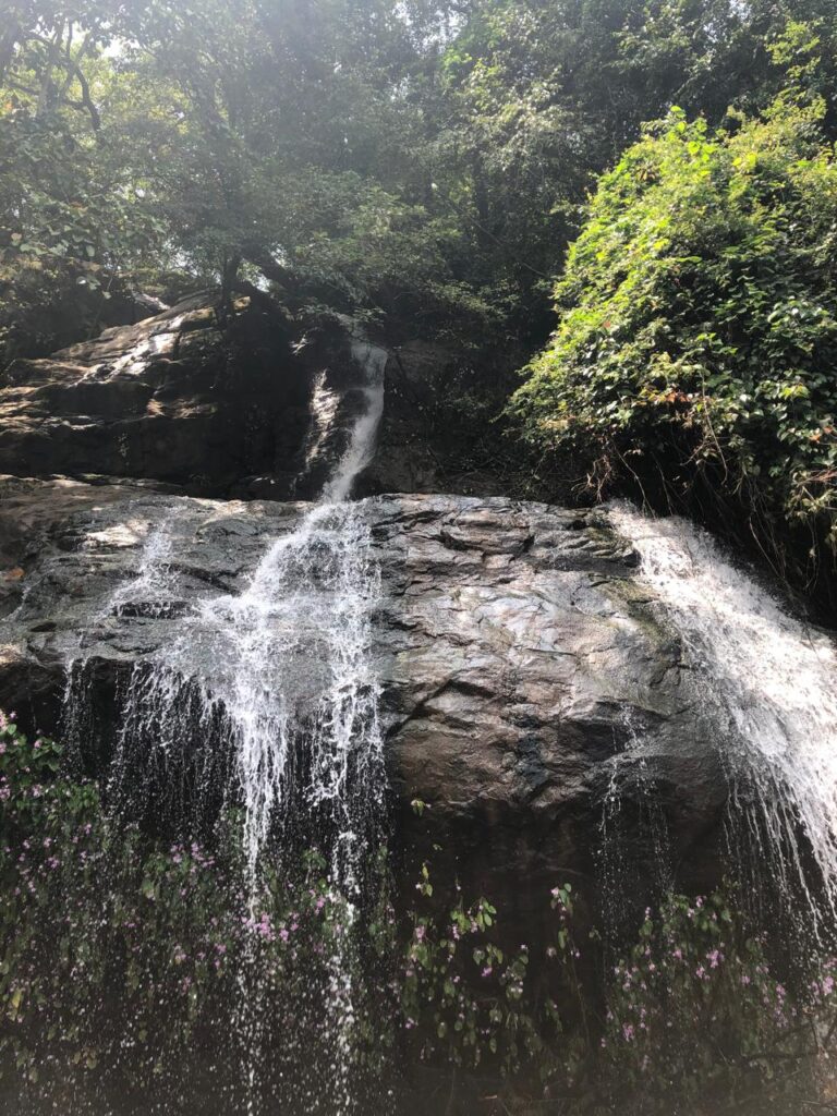 whatsapp image 2025 07 09 at 13.32.11 f40c665c