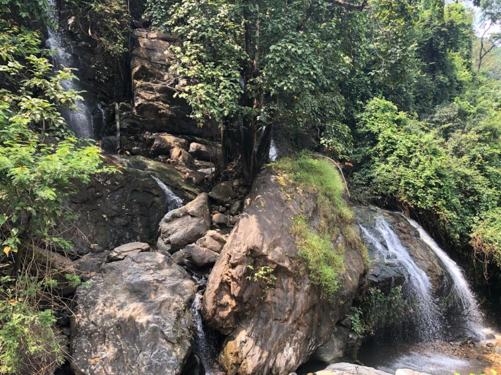 whatsapp image 2025 07 09 at 13.32.20 4fad3af7