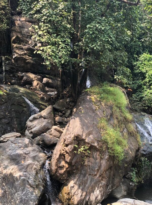 whatsapp image 2025 07 09 at 13.32.20 4fad3af7