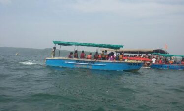 dolphin ride 4