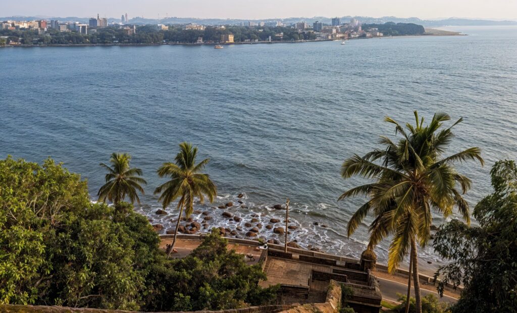 freepik enhance 18655