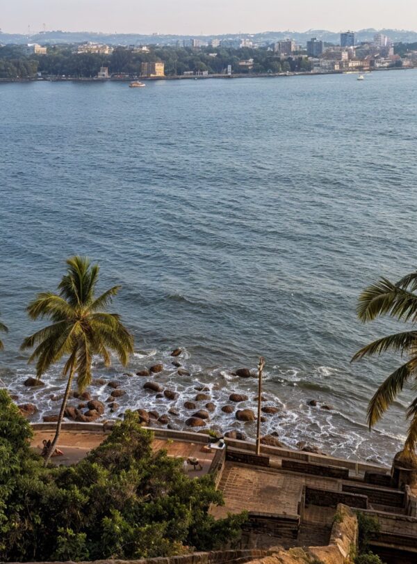 freepik enhance 18655