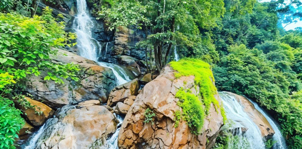 freepik enhance 59283