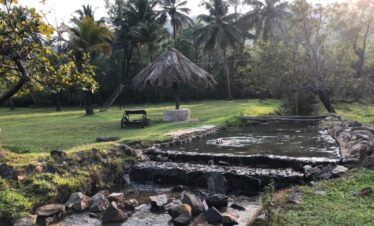 pala farm